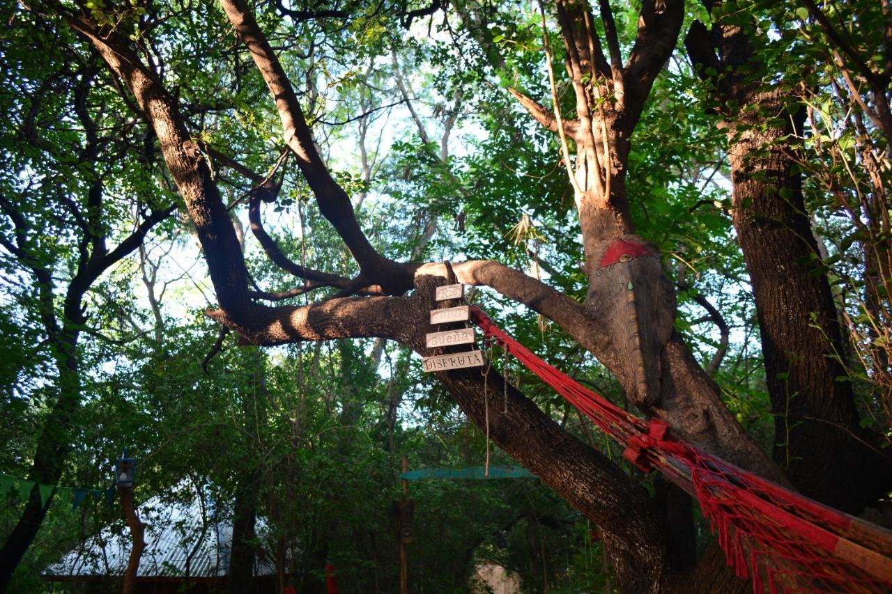 Hostel Eco Cultural Giramundo San Marcos Sierras Exteriör bild